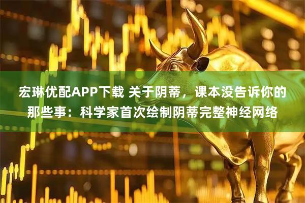宏琳优配APP下载 关于阴蒂，课本没告诉你的那些事：科学家首次绘制阴蒂完整神经网络