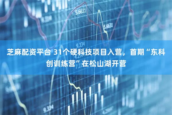 芝麻配资平台 31个硬科技项目入营，首期“东科创训练营”在松山湖开营